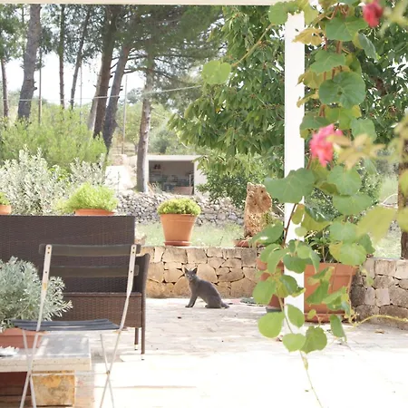Trullo Casa Surya *